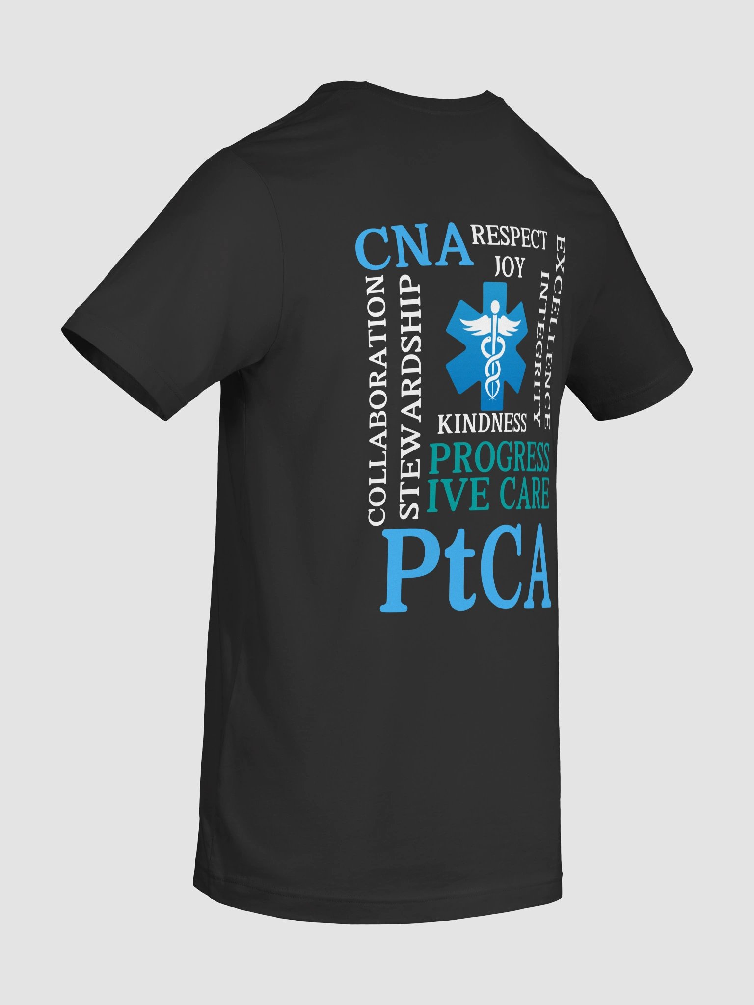 PtCA Values product image (110)