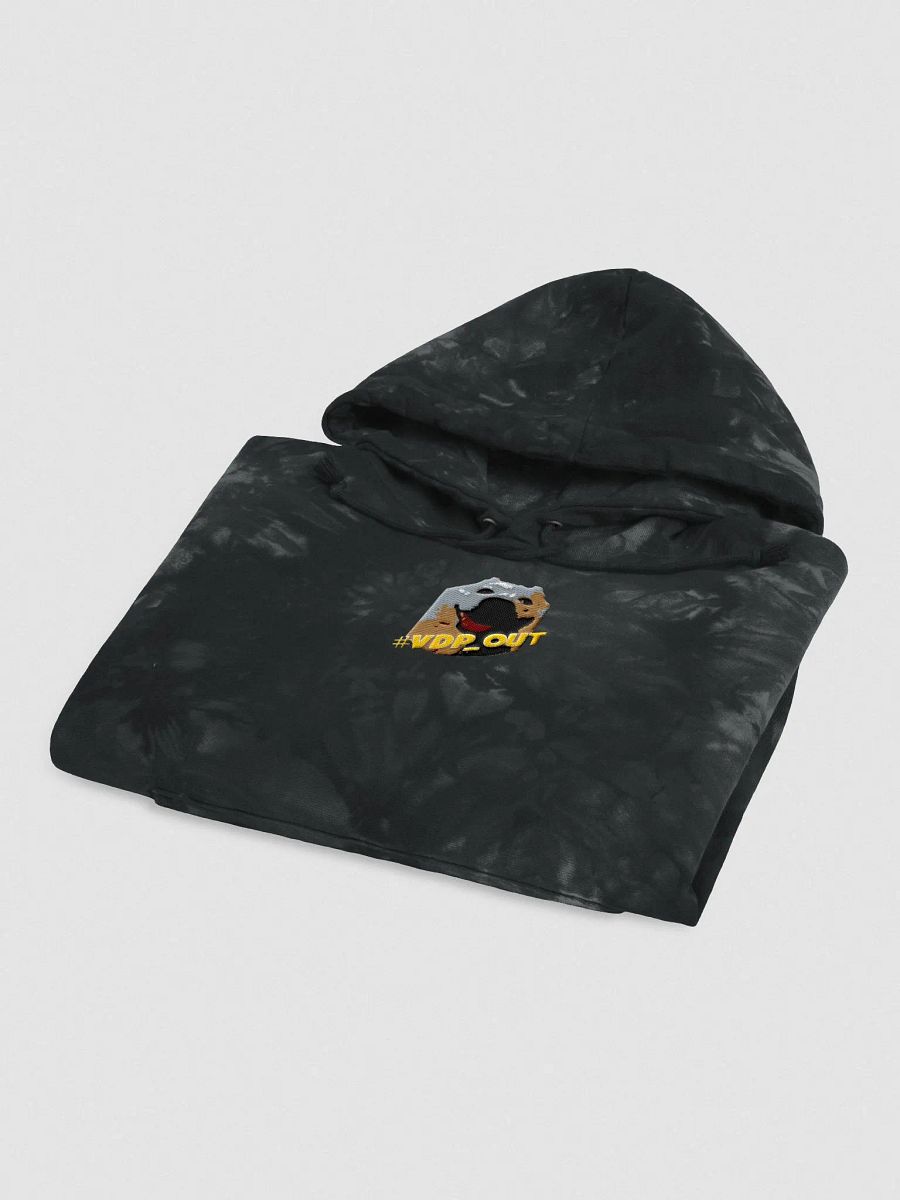 VDP_out ( Champion Hoodie ) product image (3)