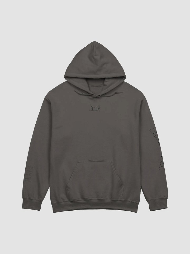 Moroni Hoodie product image (6)