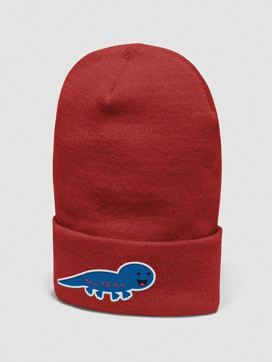 Salamander Beanie product image (2)
