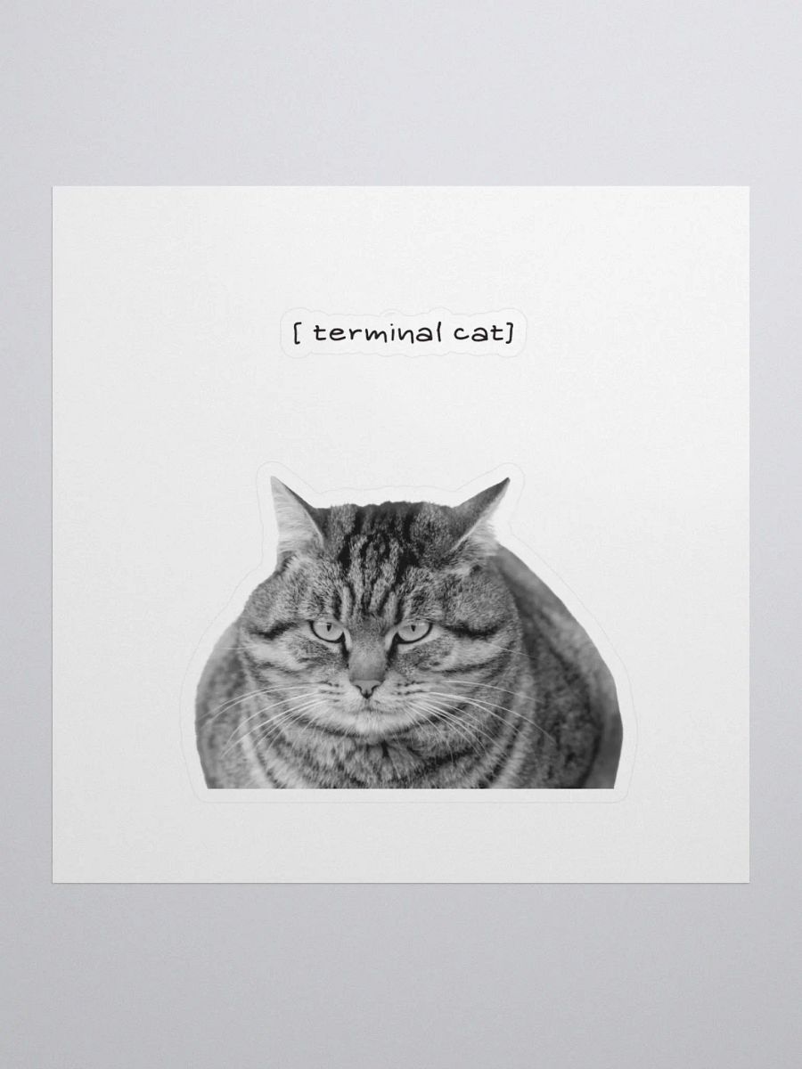 Terminal cat product image (1)