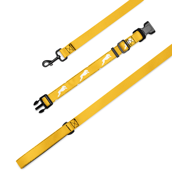 Pineapple Yellow Leash & Collar product image (2)