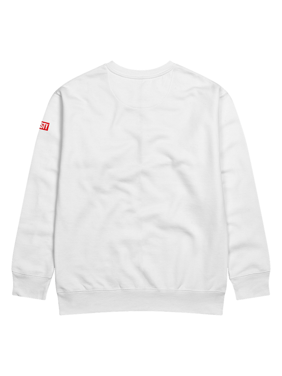 BULLIES WHITE CREWNECK product image (4)
