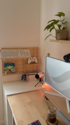 it’s the little things 🌱

•
#desk #desksetup #cozygamer #cozygamingsetup #gamingsetup #wfhsetup #homedecor
