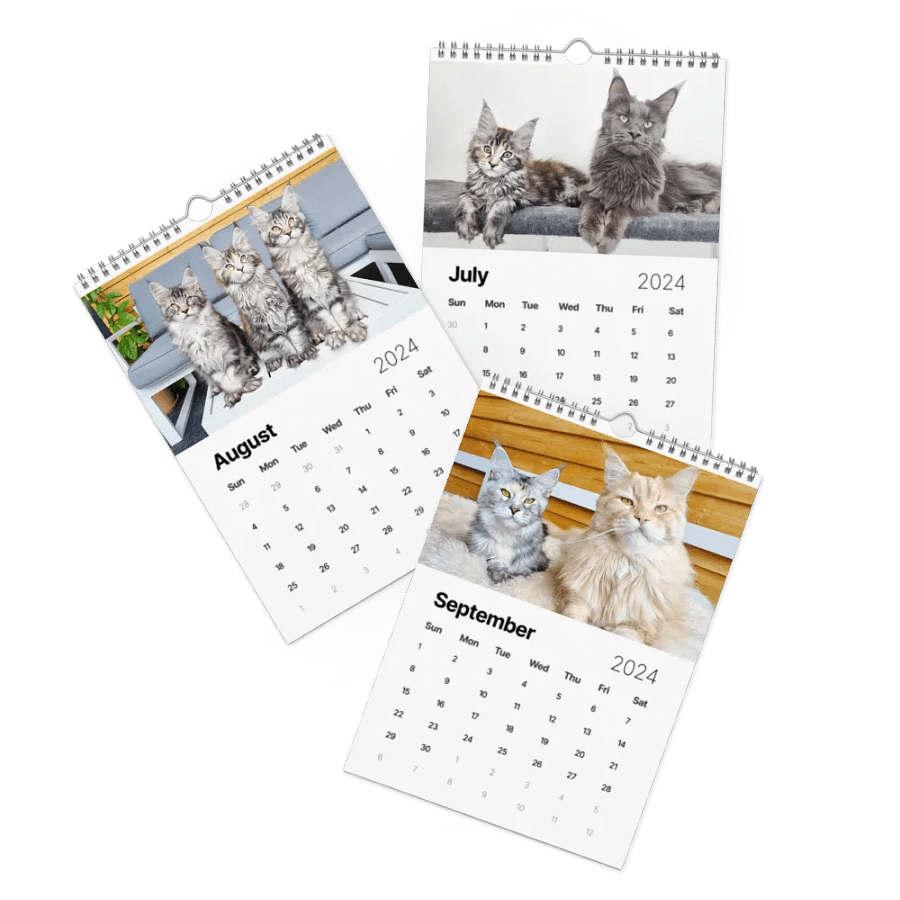 2024 Calendar - Adventures with Maine Coons product image (11)