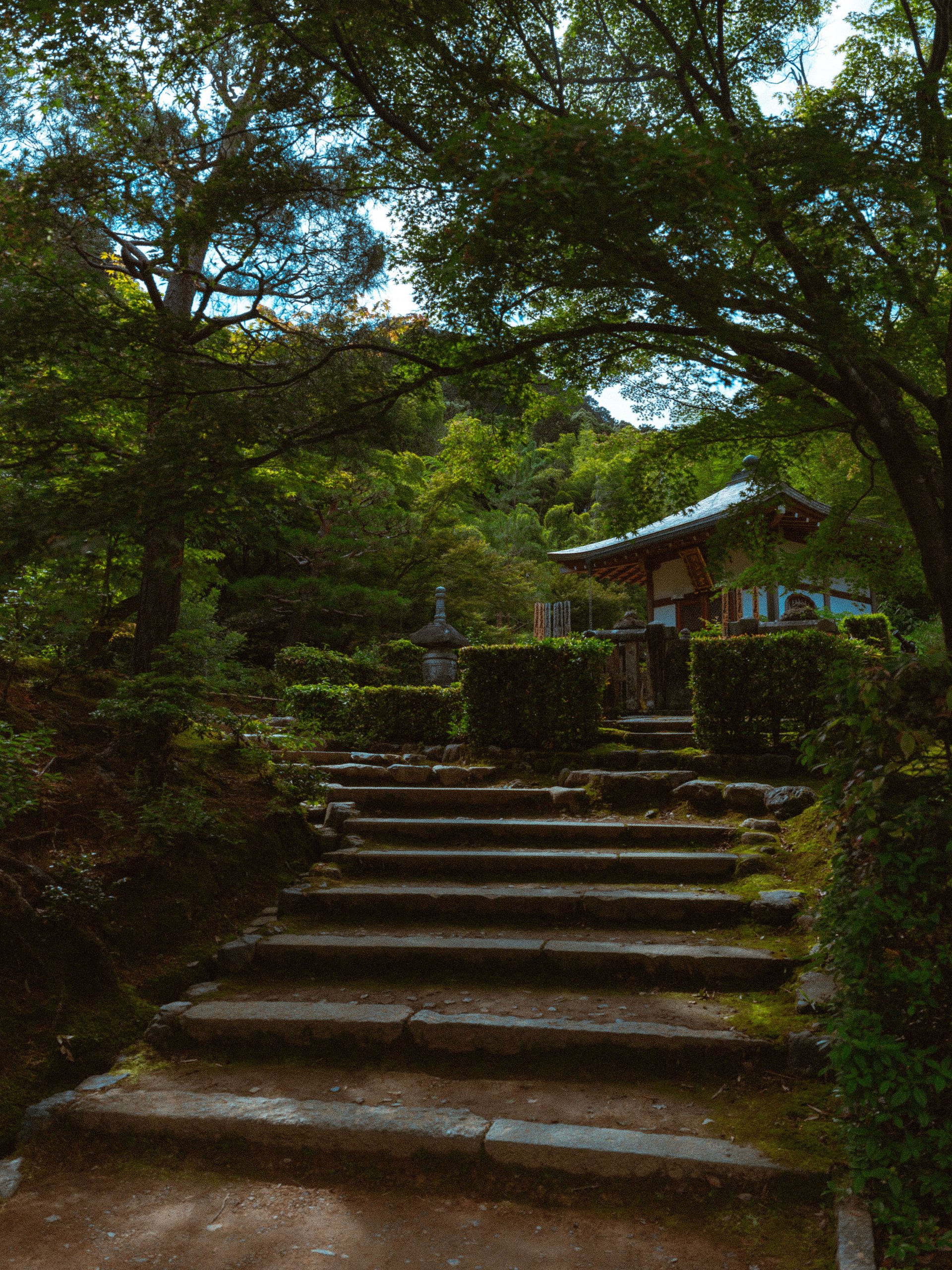 Japan Preset Pack - Vol. 1 product image (9)