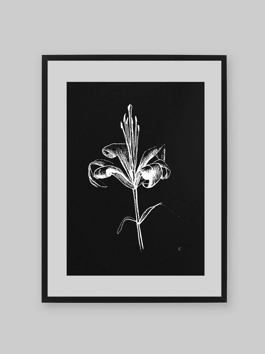 Ethereal Lily Sketch Poster - Fine Flower Dark product image (9)