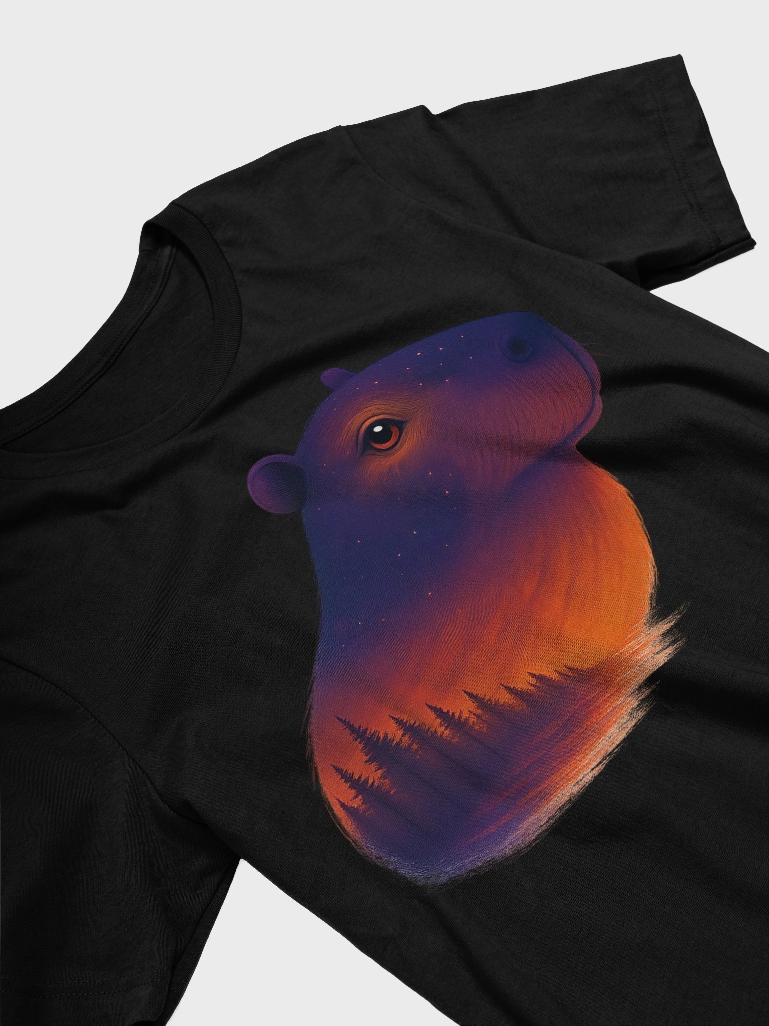 Cosmic Chill Capi Soft T-Shirt product image (3)