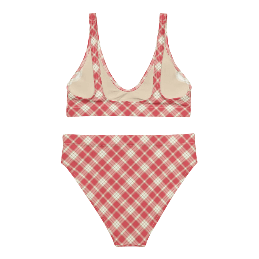 Coral Pink Plaid Bikini product image (4)