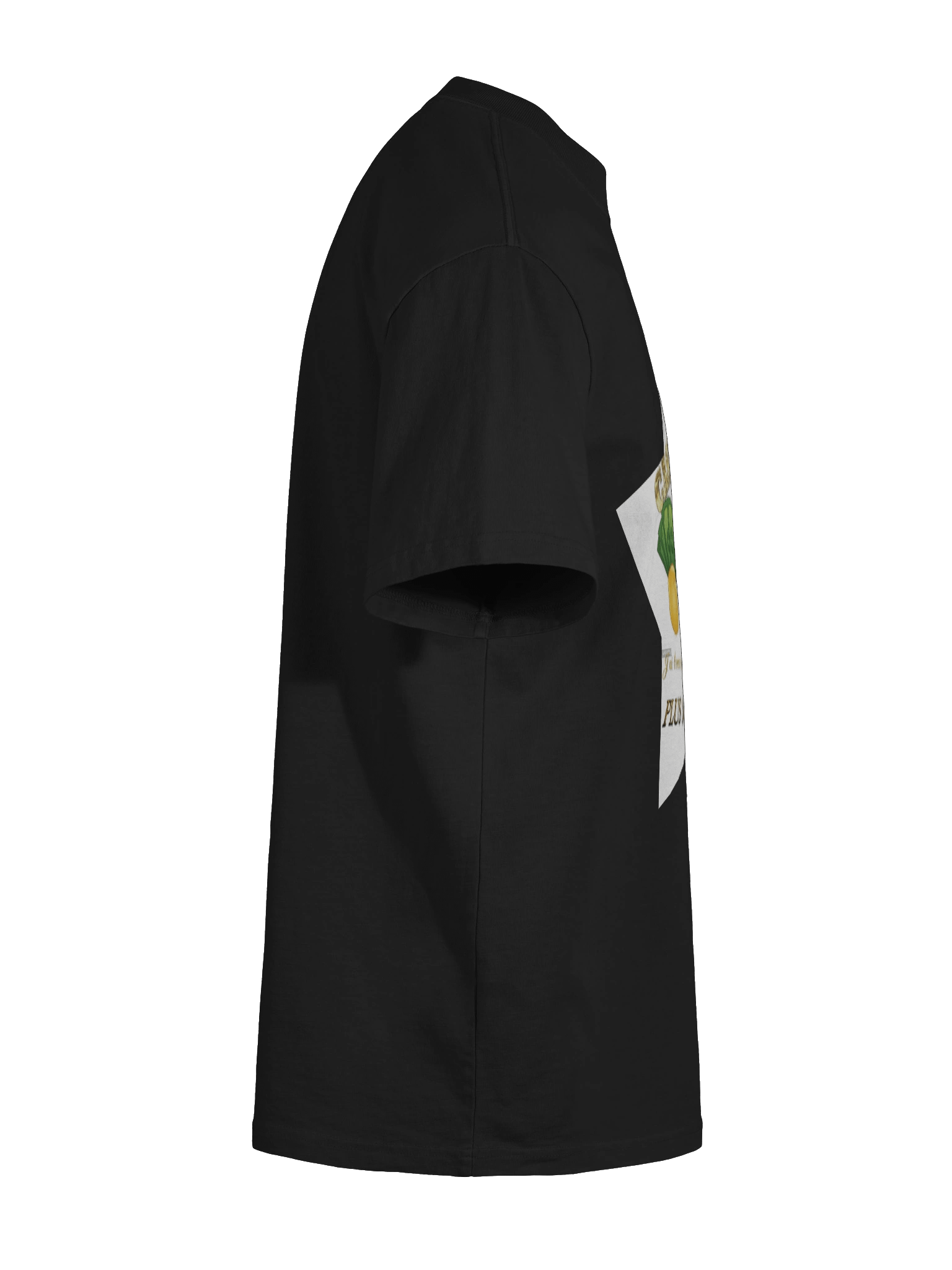 Cashgrab product image (11)