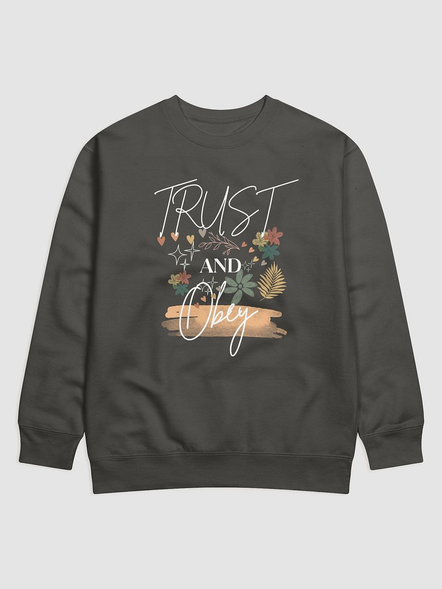 Classic Comfort Christian Sweatshirt – Unisex Heavyweight Cotton Lounge Wear – Faith-Inspired Apparel by KKacreations product image (2)