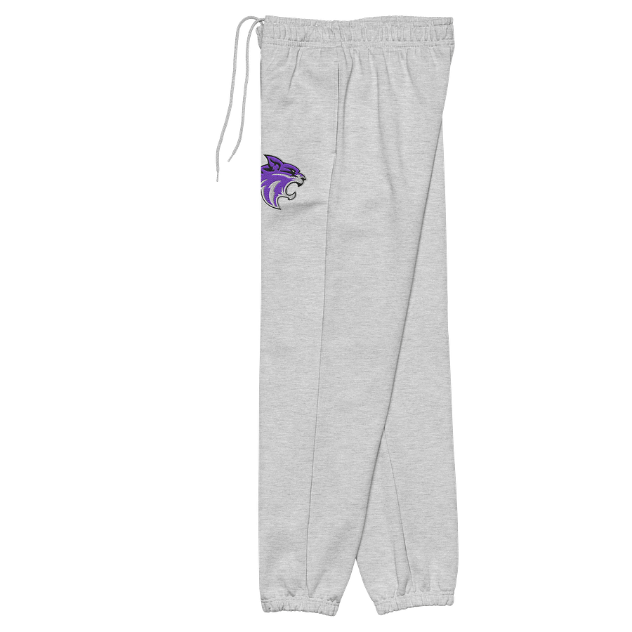 Jr Whips Embroidered Joggers product image (7)