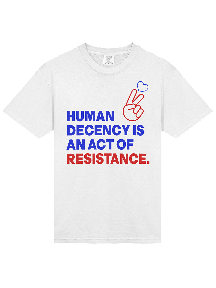 HUMAN DECENCY IS AN ACT OF RESISTANCE product image (2)