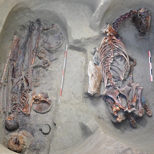 Among the Göktürks, it was common to bury the deceased not just with their assets like jewelry but also with their own horse ...