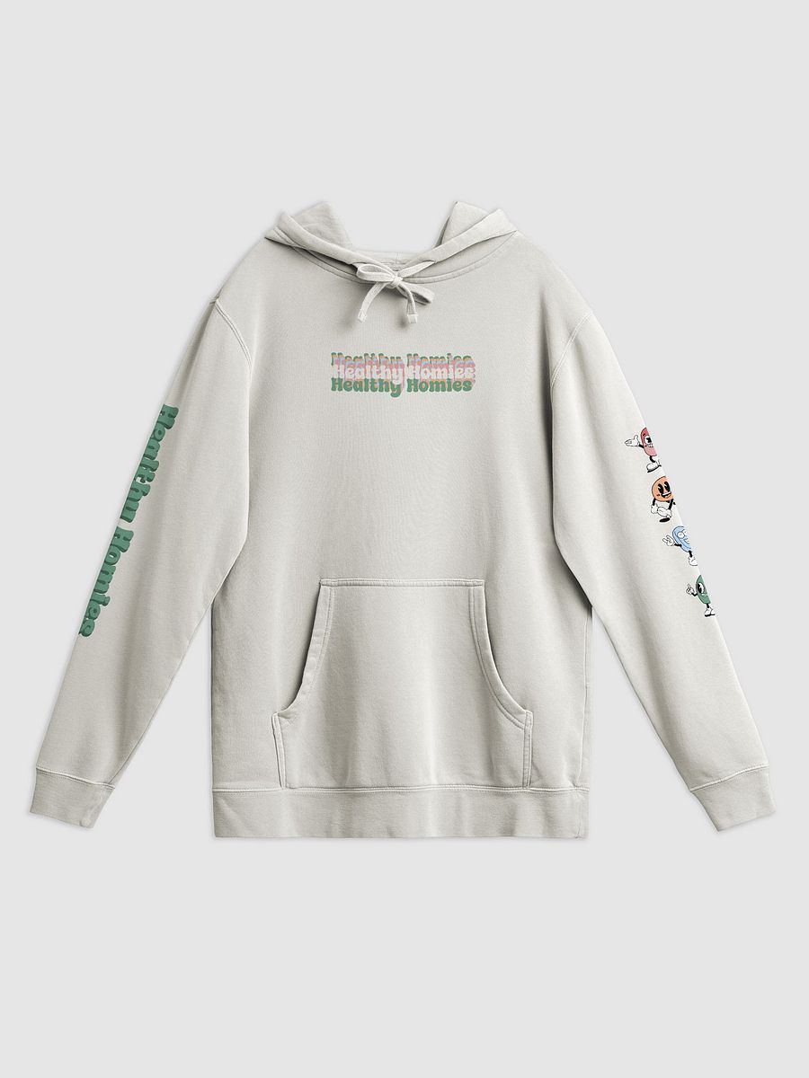 Healthy Homies Hoodie product image (1)