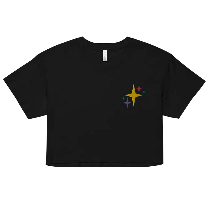 stardust embroidered crop tee product image (1)