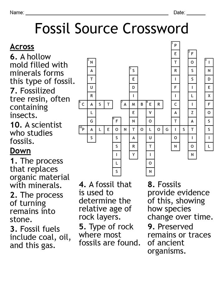 Fossil Source Crossword Puzzle: Fun Earth Science Activity product image (2)