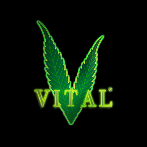 Premium 3D Logo Design product image (1)