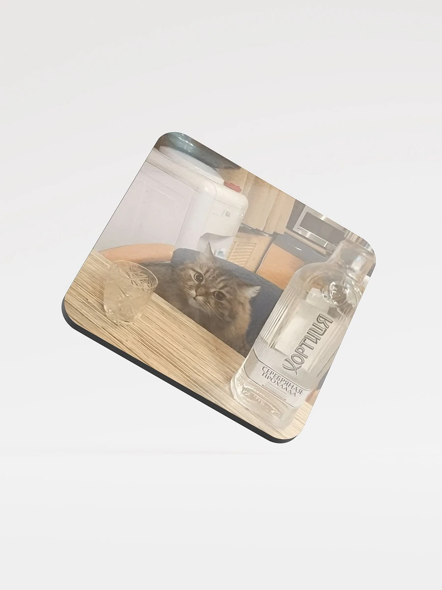 Glossed Cork Coaster: Meme Cats product image (1)