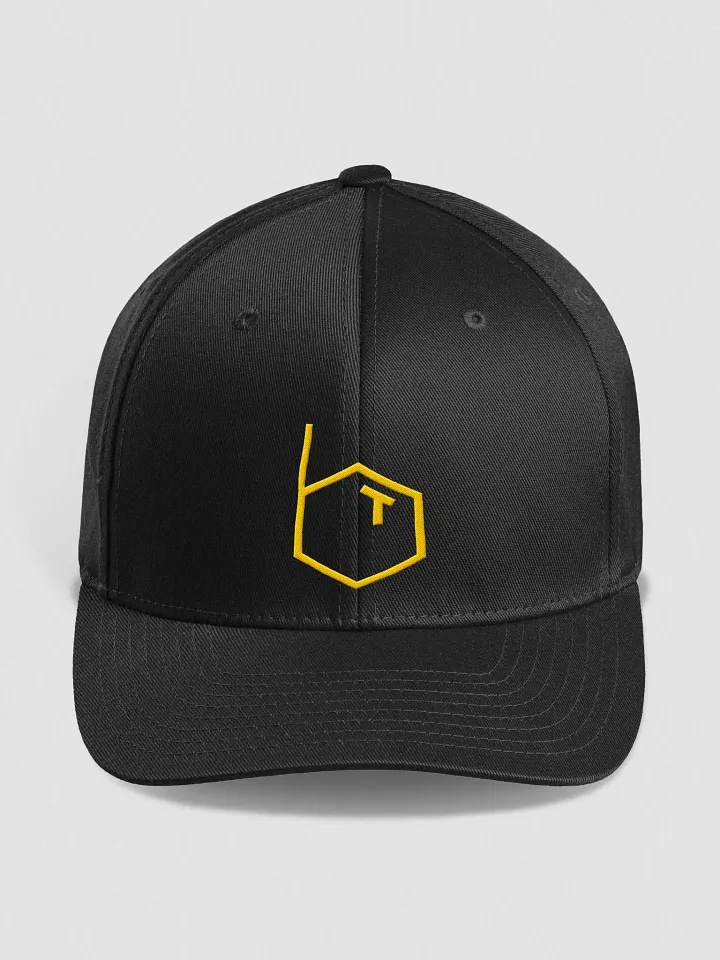 'BT' Logo Flex Fit Hat product image (1)