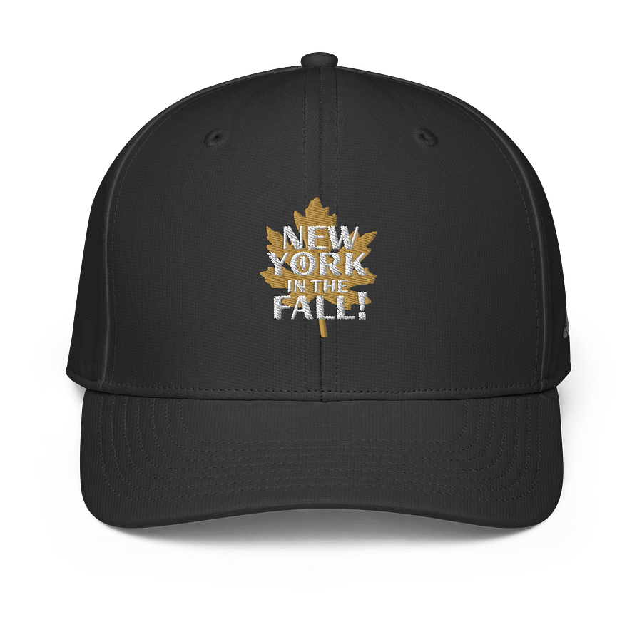 Fall in Style with Adidas Performance Cap product image (3)