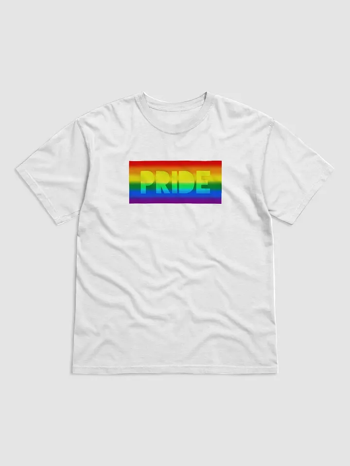 Rainbow Pride On Display - T-Shirt product image (1)