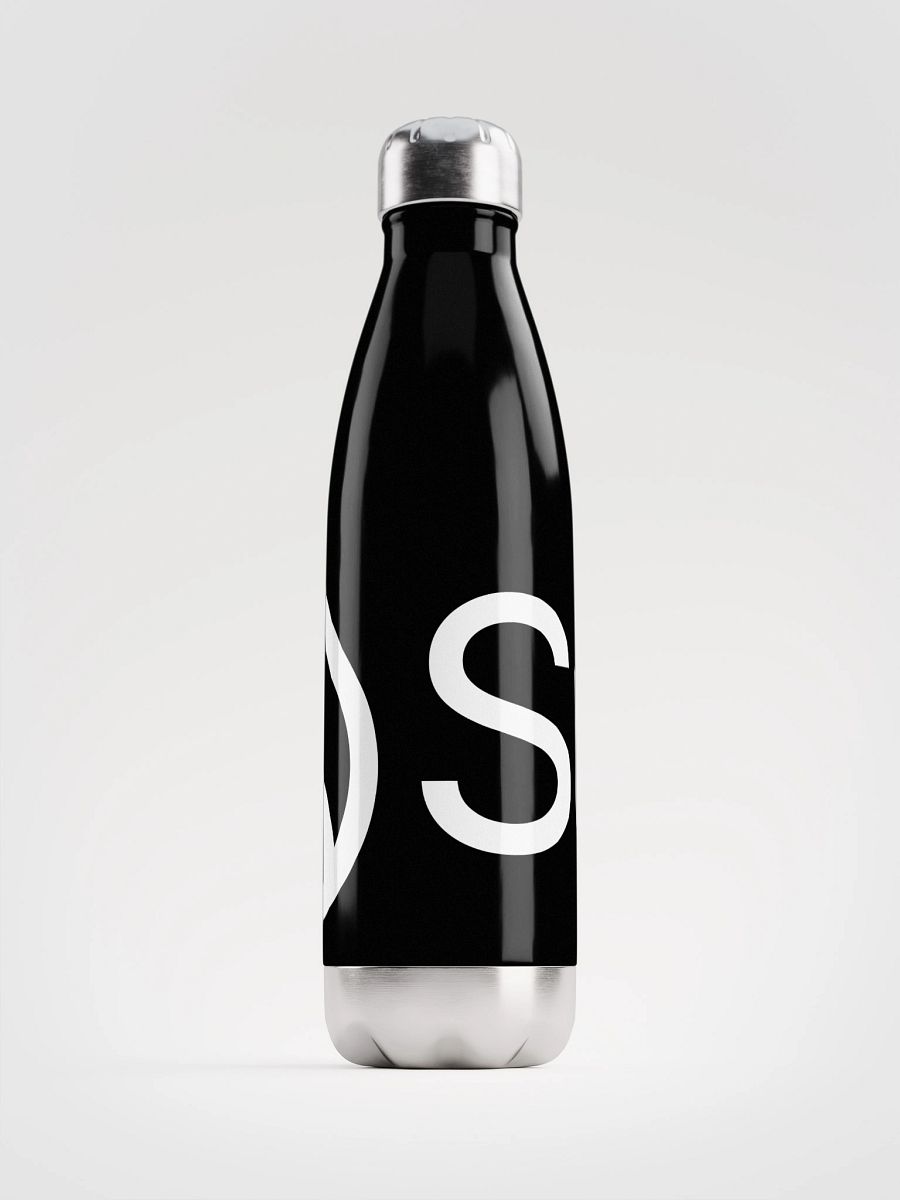 Stainless Steel Water Bottle/Sui product image (1)