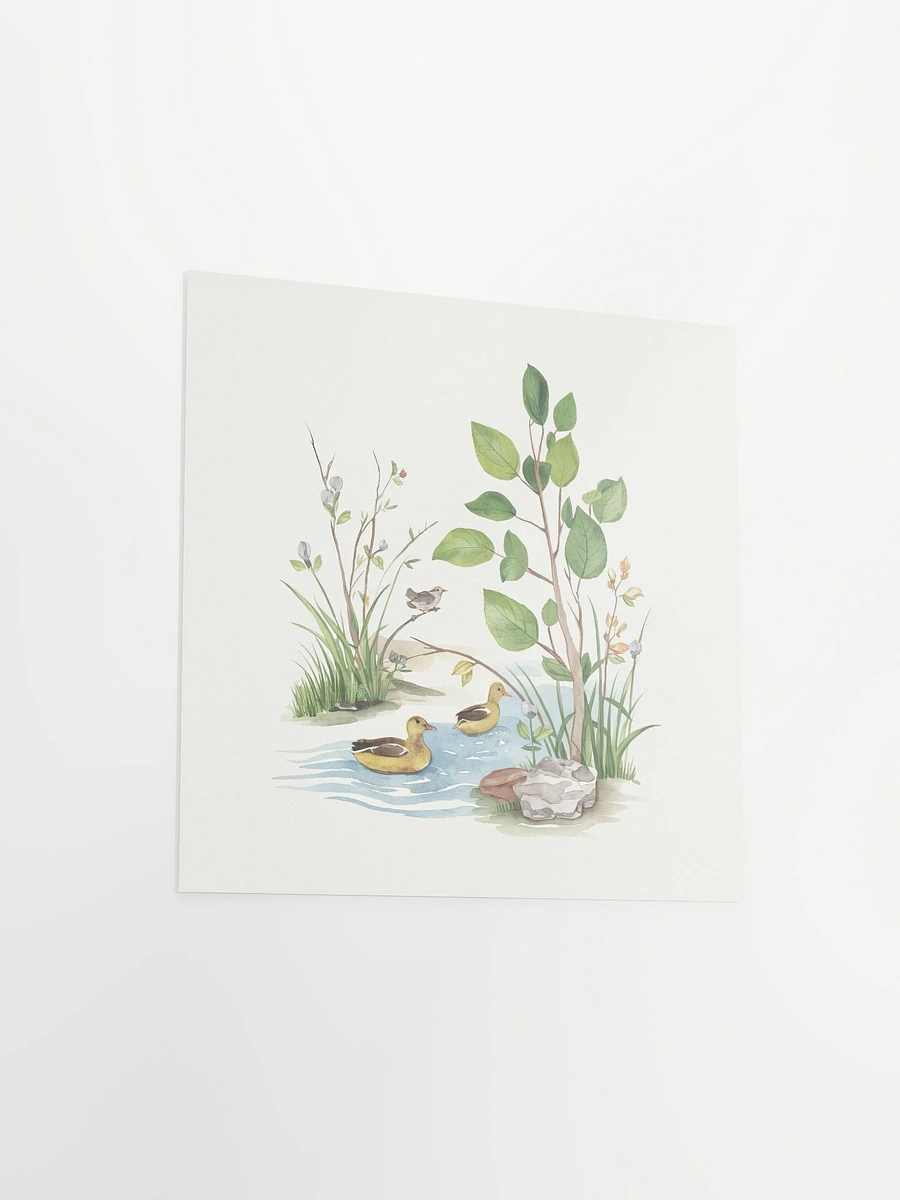 Tranquil Ducks Watercolor - Poster product image (3)