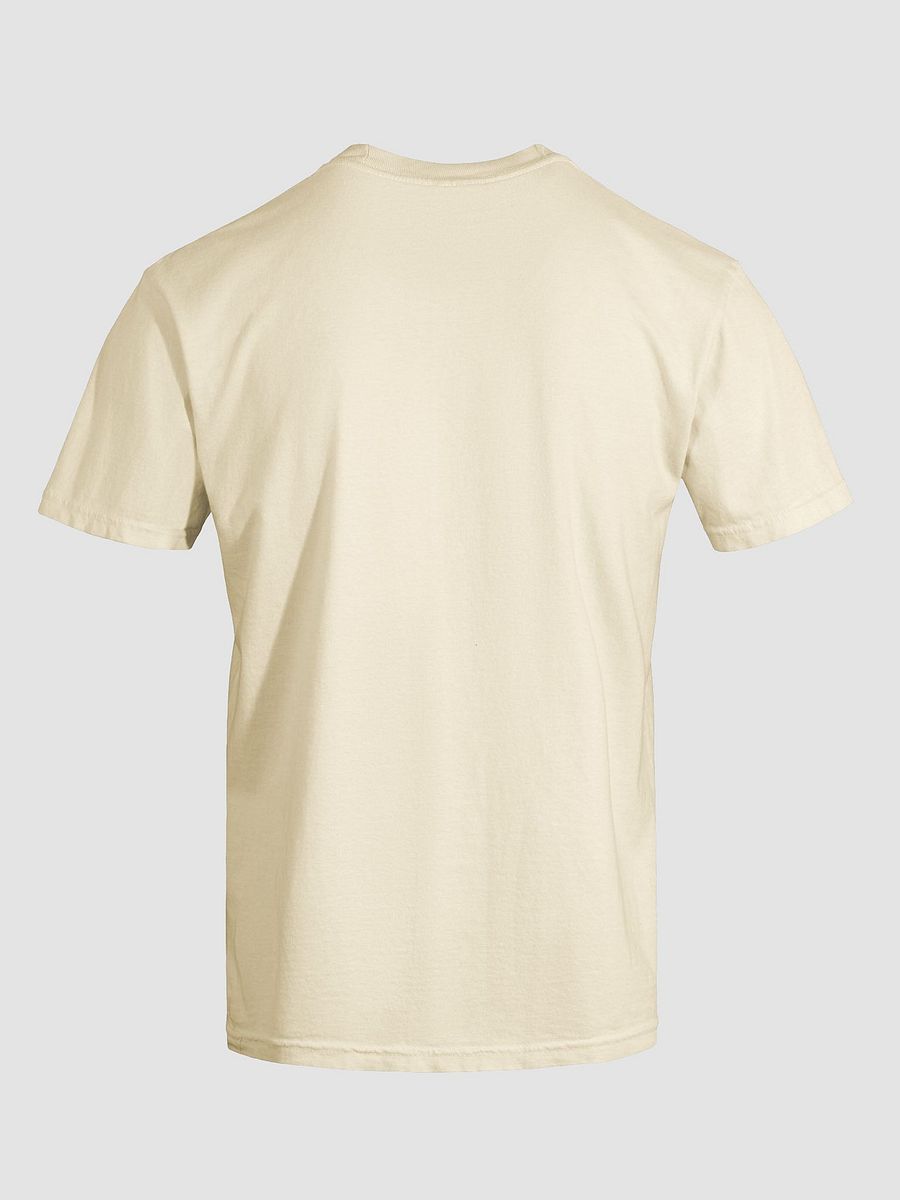 Faulted Pride Flags- Ace T Shirt product image (11)