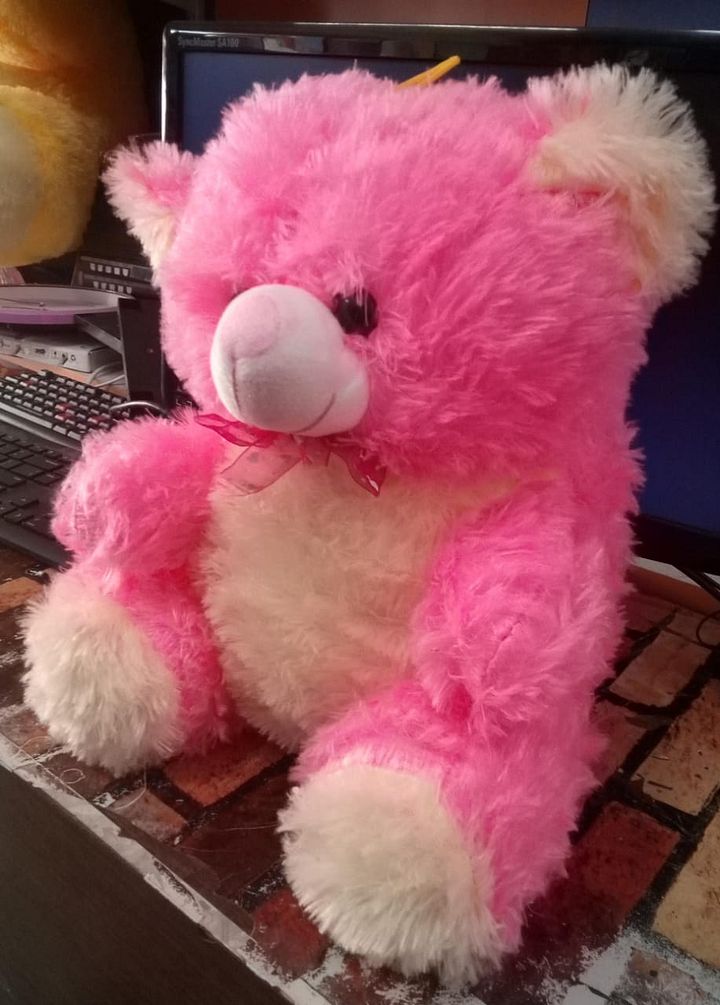 TEDDY BEAR product image (2)