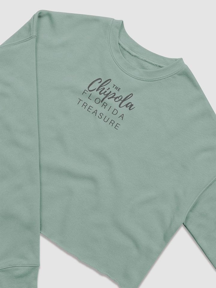 The Fleece Crop Sweatshirt product image (2)
