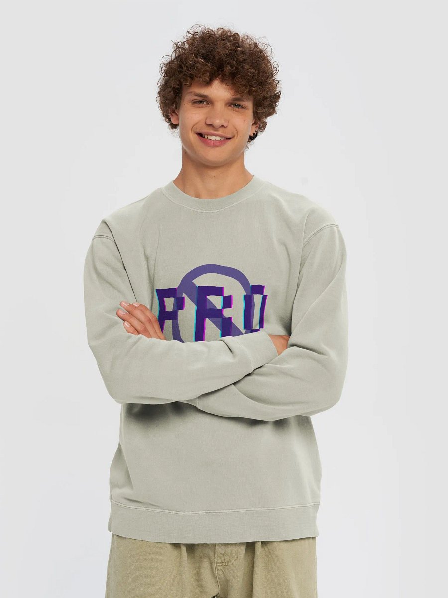Pro Gamer Sweatshirt W/Out Brand Name product image (3)