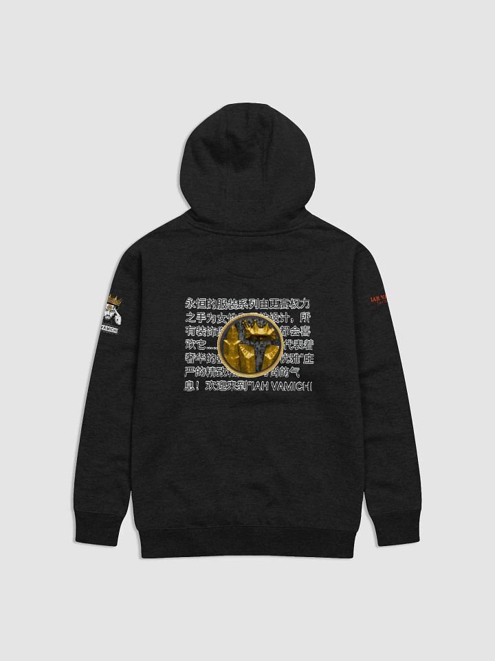 Gold Ambassador Unisex Premium Hoodie product image (2)