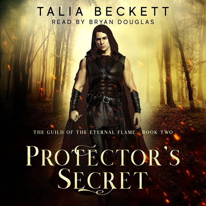 Protector's Secret - Audio MP3 product image (1)