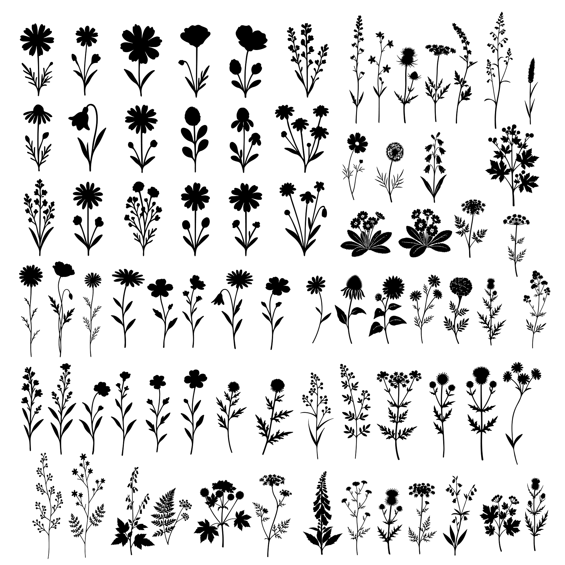 Wetland Botanical Flowers and Leaves Silhouettes product image (7)