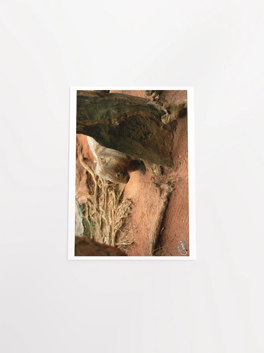 The Wombat - Print product image (4)