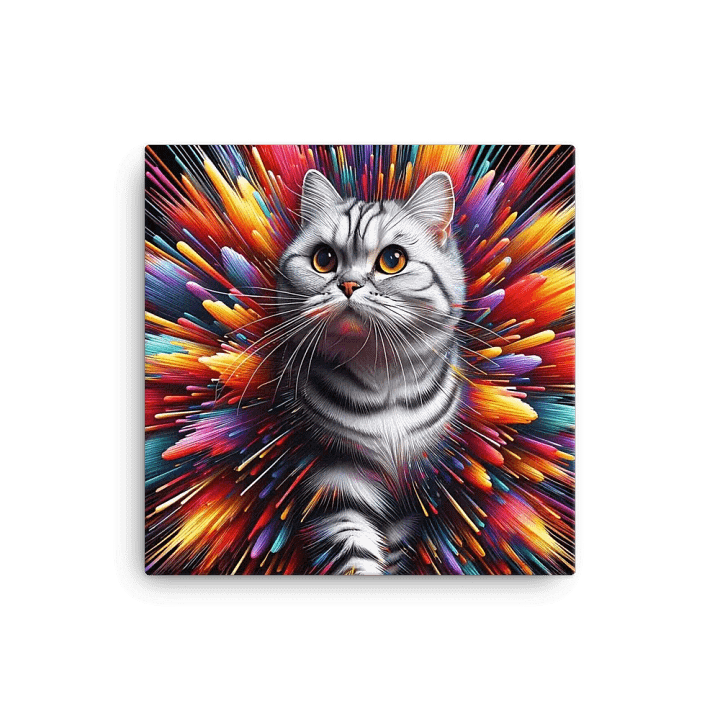 Canvas (in): American Shorthair product image (1)