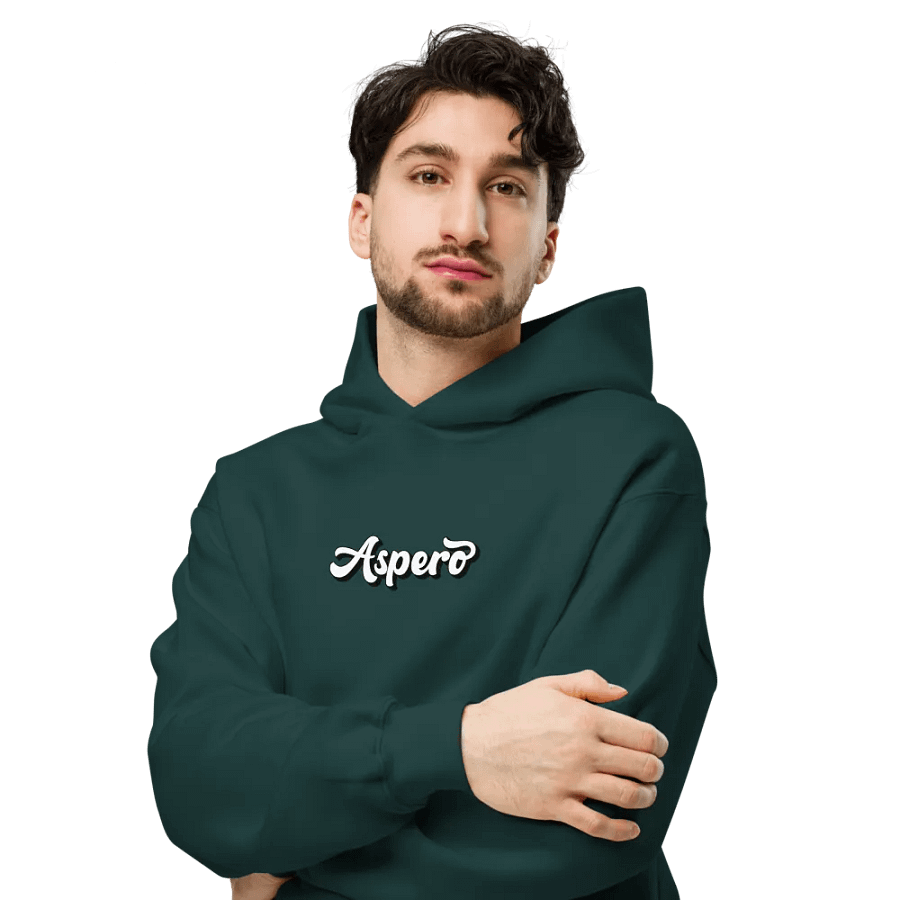 Aspero AS Colour Unisex Premium Oversized Hoodie product image (28)