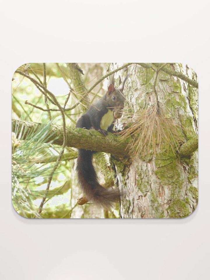 Classic Mouse Pad - The Eurasian red squirrel product image (2)