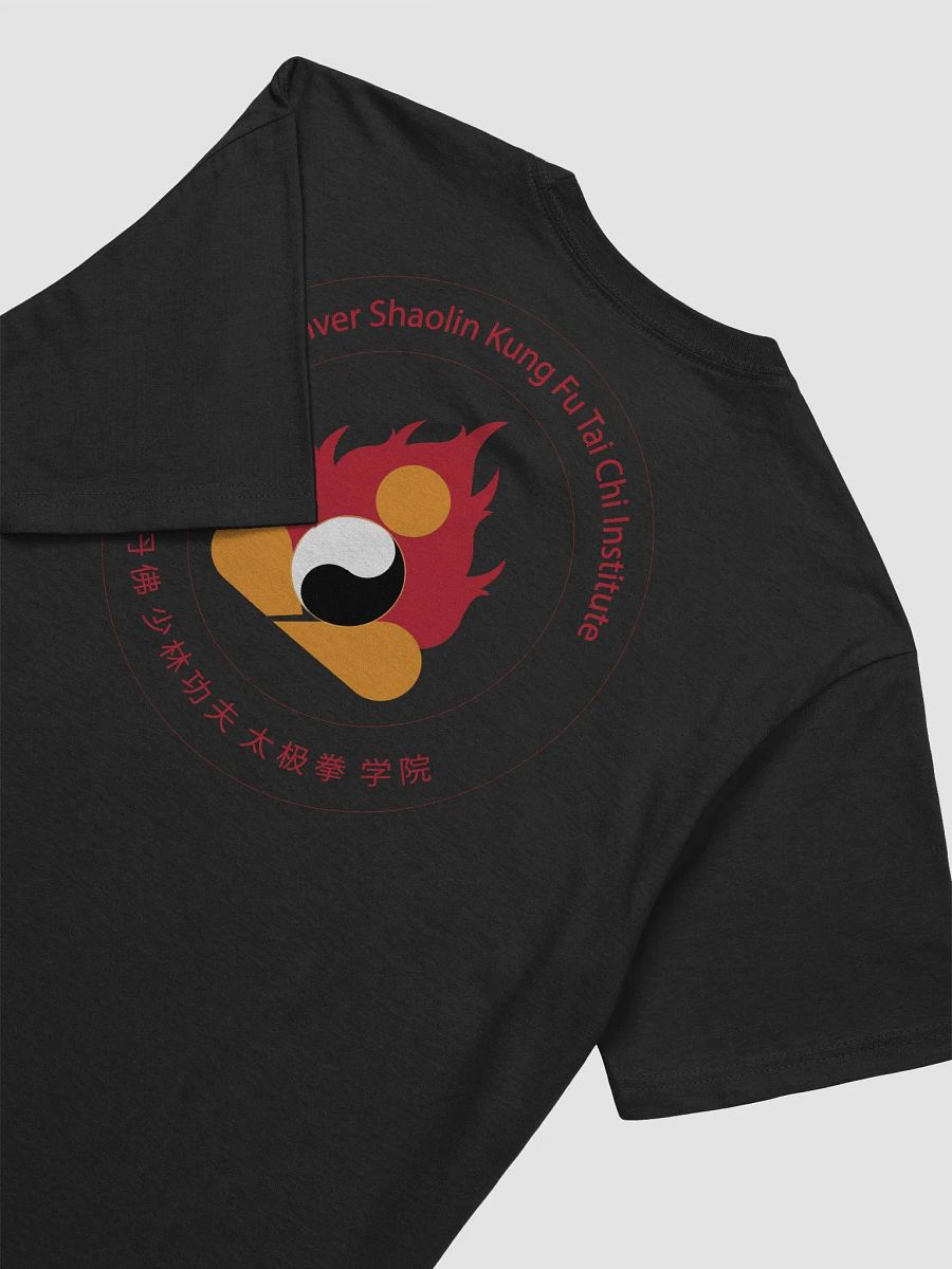 Secrets of Kung Fu product image (17)