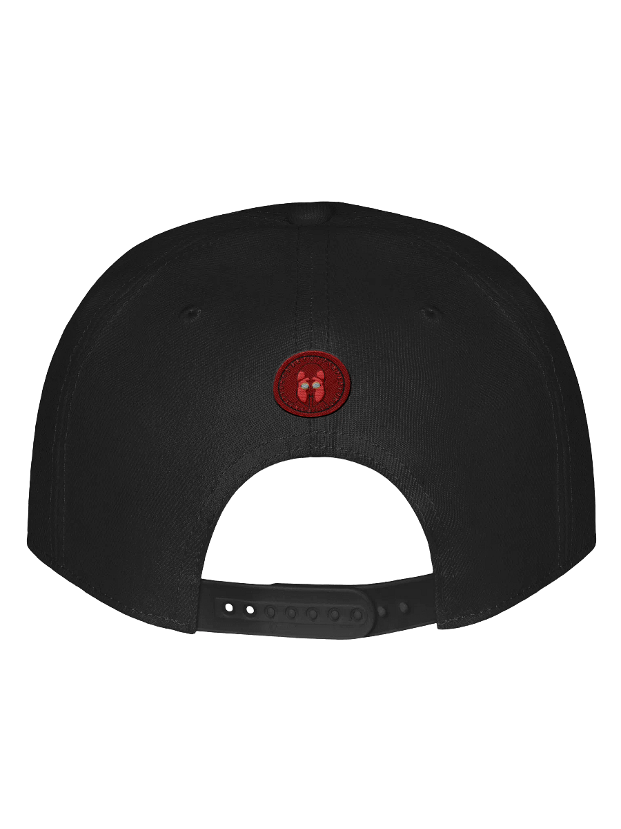 SpartanX Warrior Snapback Cap product image (4)