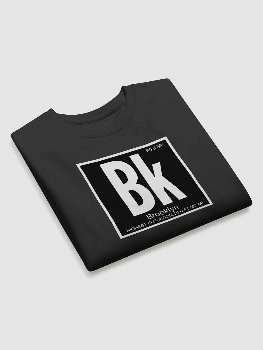 Brooklyn Element : Sweatshirt product image (3)