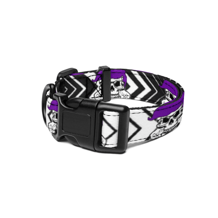 Enigma Nation Pet Collar product image (1)