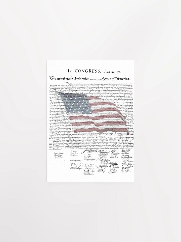 PATRIOTIC PRINT product image (1)