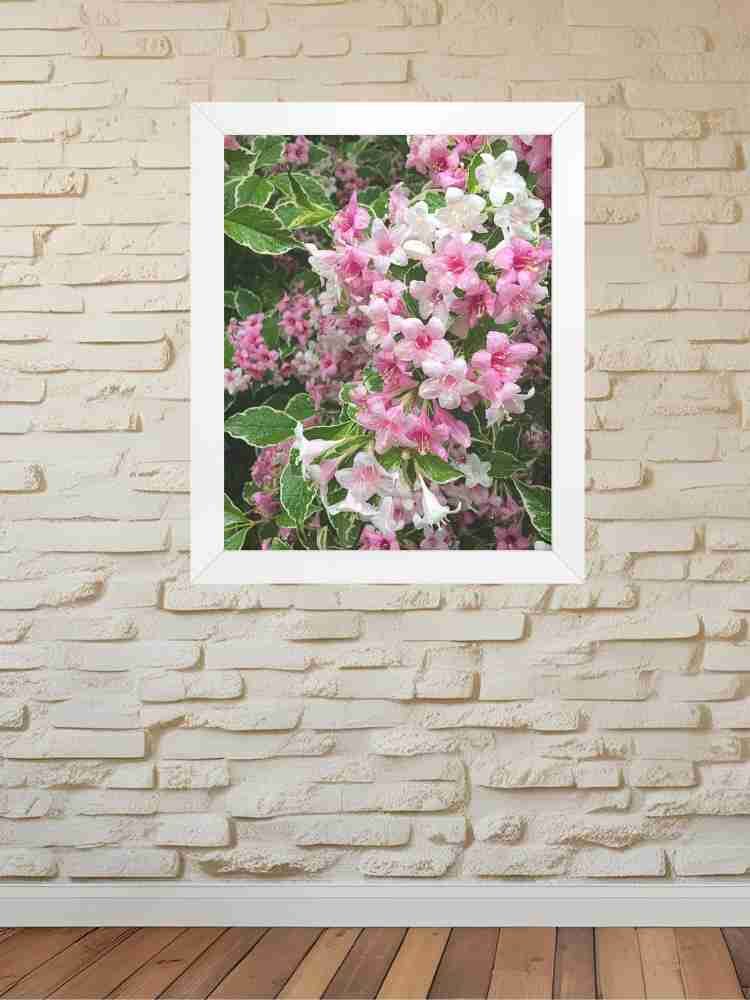 Weigela Flowers in Shades of Pink After Rain product image (3)