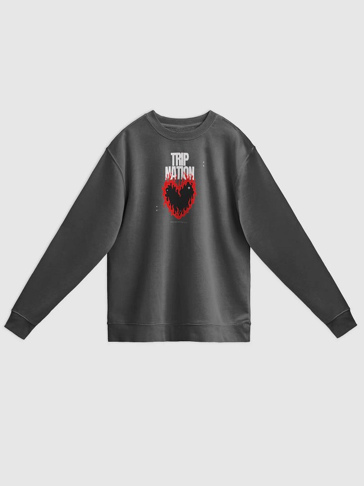 Red <3 Crew product image (7)