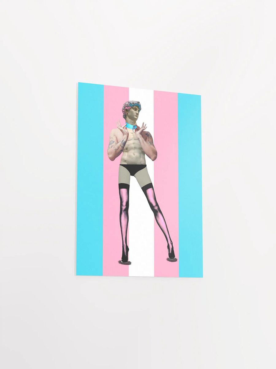 Trans Day of Visibility 4 Poster product image (3)