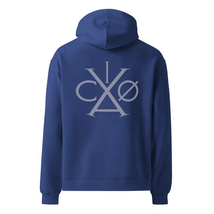 VACIO Logo Relaxed Fit Hoodie (B) product image (9)