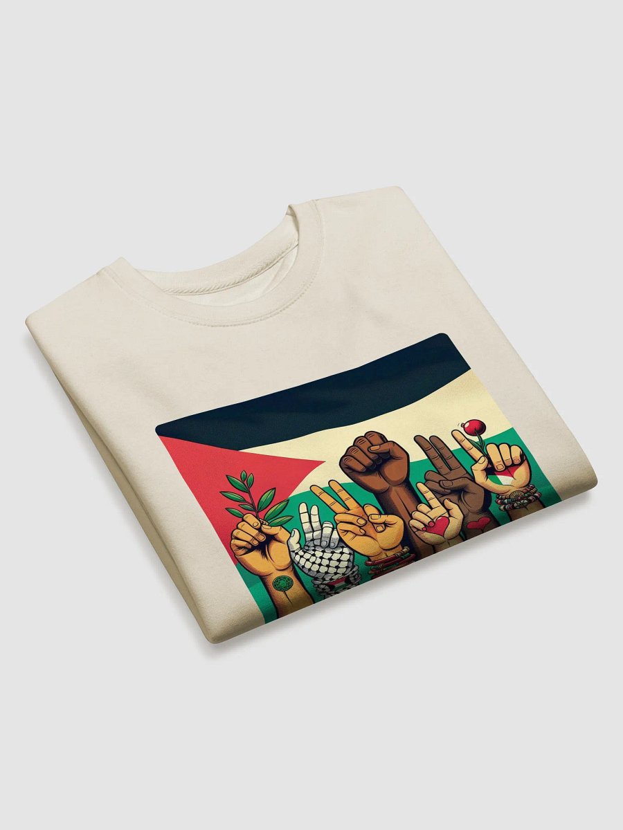 Solidarity Stripes Sweatshirt | free palestina product image (31)