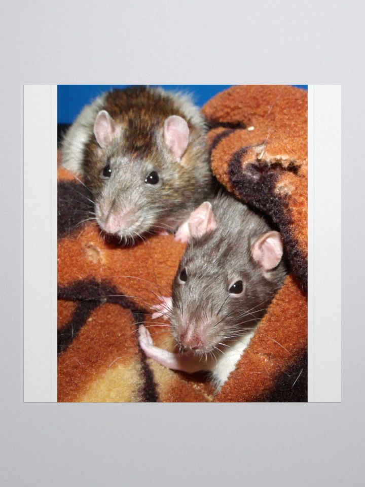 Cute rats sticker product image (2)